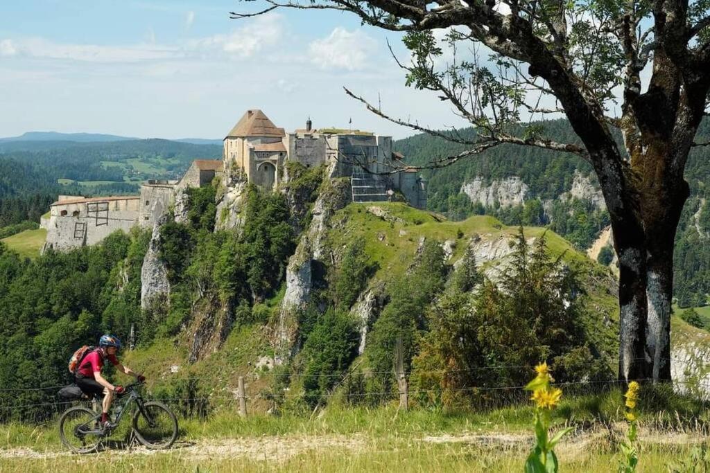 Le P'Tit Saint-Pierre - Centre Ville - Parking Pontarlier Εξωτερικό φωτογραφία
